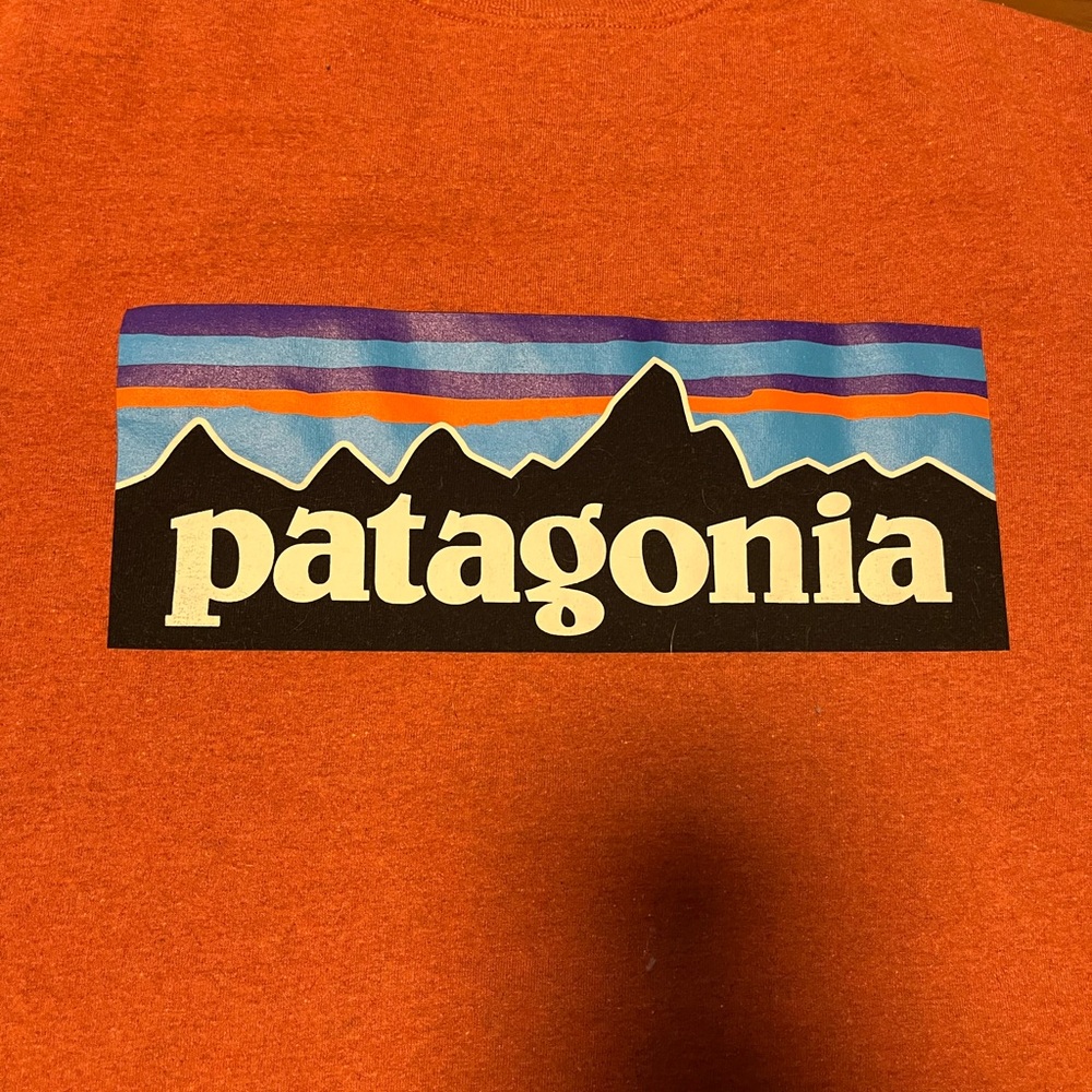 Patagonia Rust T-Shirt - Picture 4 of 4